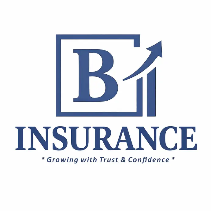 B-Insurance Professional Insurance Services Provider Company in India.